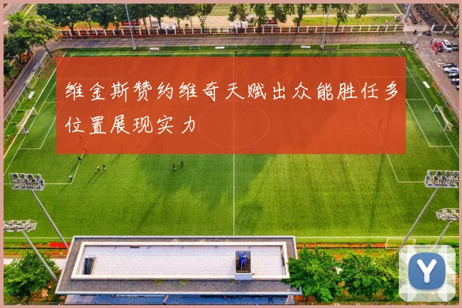 维金斯赞约维奇天赋出众能胜任多位置展现实力