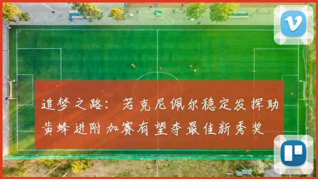 追梦之路：若克尼佩尔稳定发挥助黄蜂进附加赛有望夺最佳新秀奖