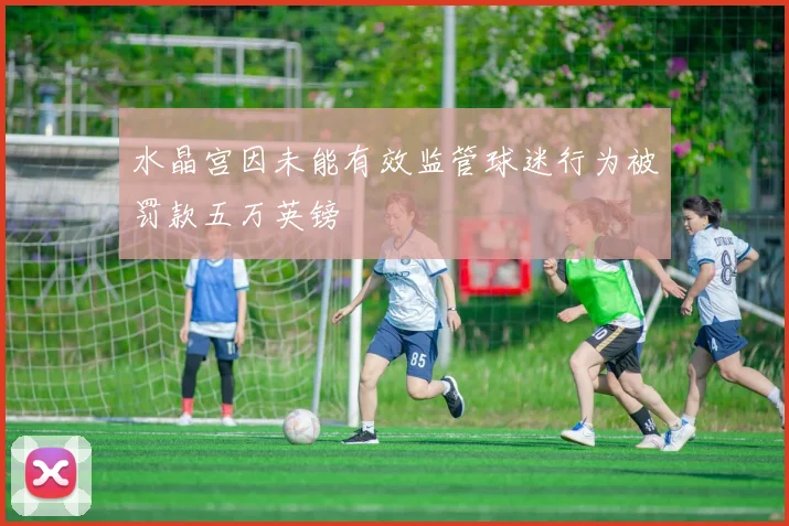 水晶宫因未能有效监管球迷行为被罚款五万英镑