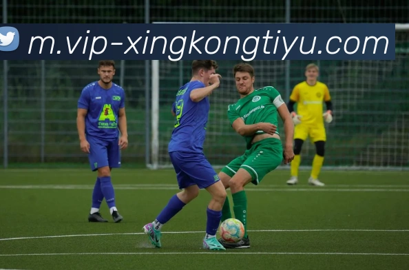 星空体育平台生态图